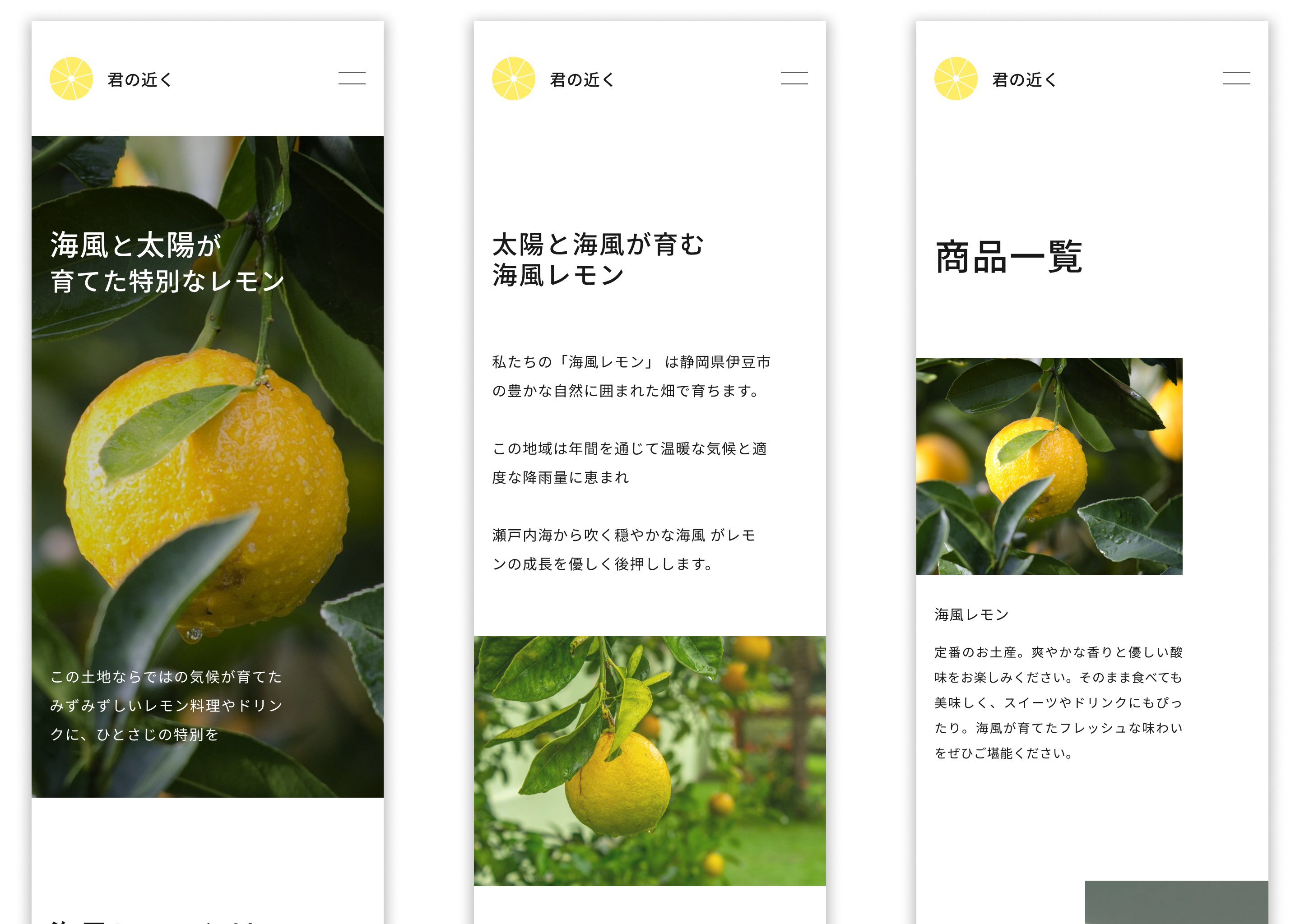 mobile design of the project